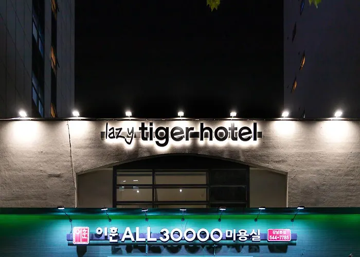 Lazy Tiger 2* Seoel